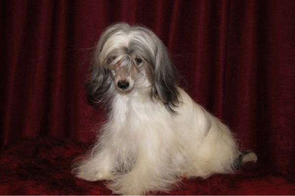 Наталья Комарова