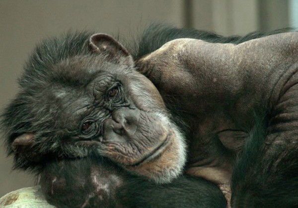 Александр Худолей