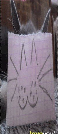 Влада Казакова