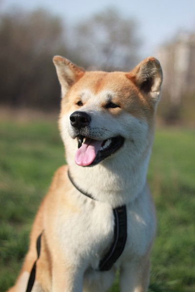 Торговый Дом Уск