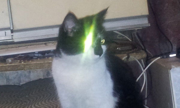 Юрий Гасымов