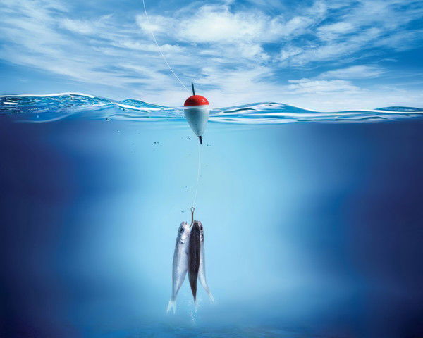 Серёга Серёга