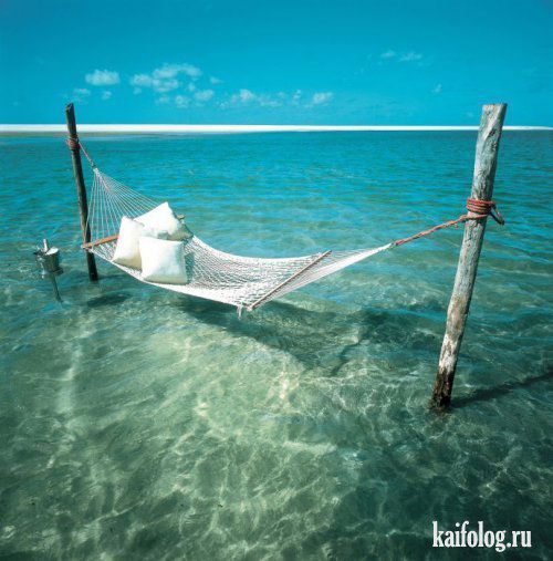 Дмитрий Самарский