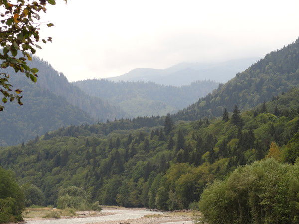 Елена Карпушина