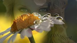 Анара Казакова