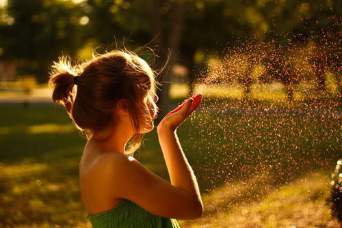 Анастасия Солнышкина