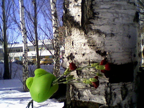 Роберт Вальшин