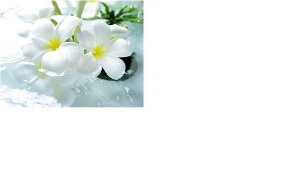 Эльмира Эльмира