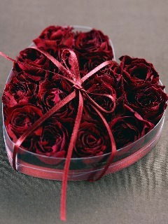 Анна Ерохина