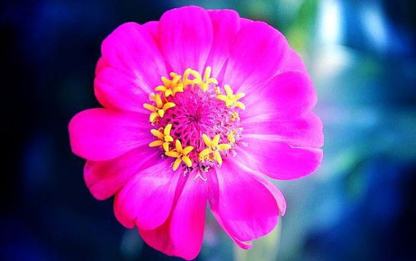 Шахноза Шахнозочка