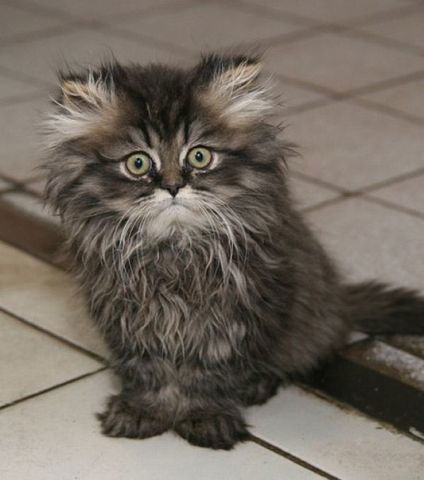 Сергей Дубинин