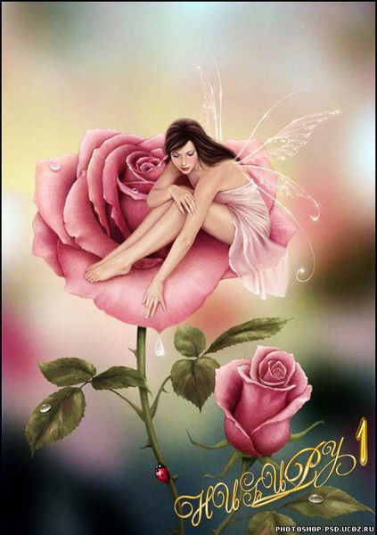 Елена Цветаева