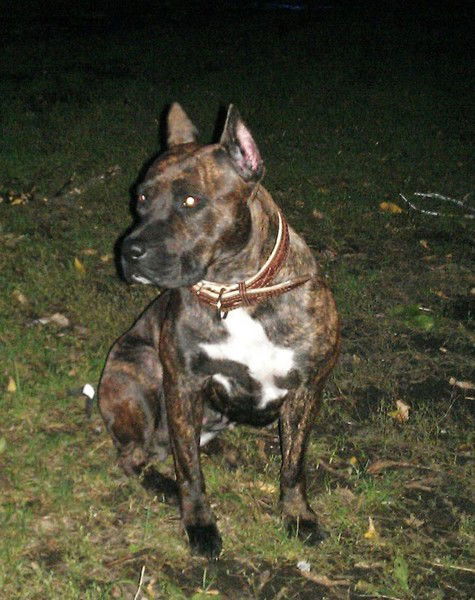 Андрей Иванов