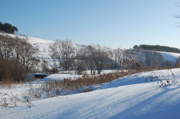 Любовь Березина (Якунина)