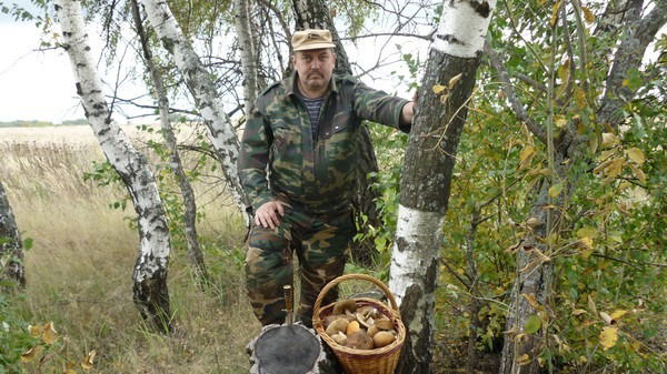 Владимир Дёмушкин