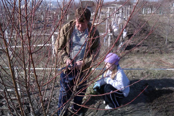 Николай Журба