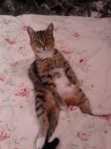 Замира Адбуллаева