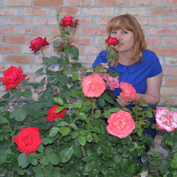 Татьяна Плахотнюк