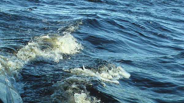 Игорь Сидоров