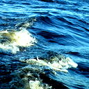 Игорь Сидоров