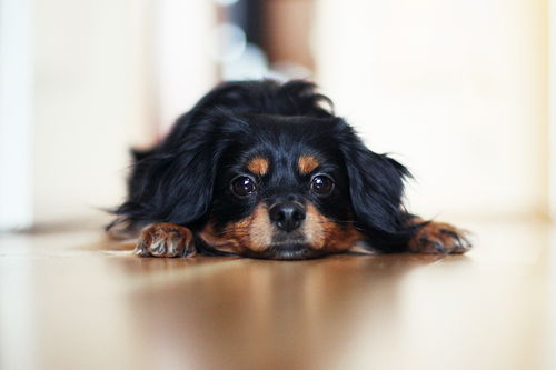 Ольга ¤¤¤ ✿ ܓ✿ܓ✿ܓ ツツツ