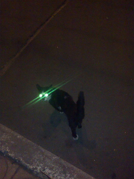 Вадим Азжеуров