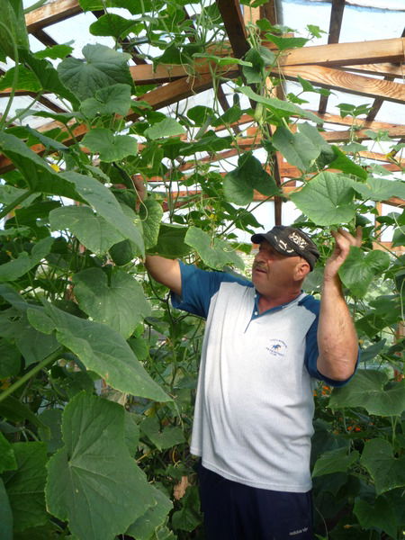 Василий Барден