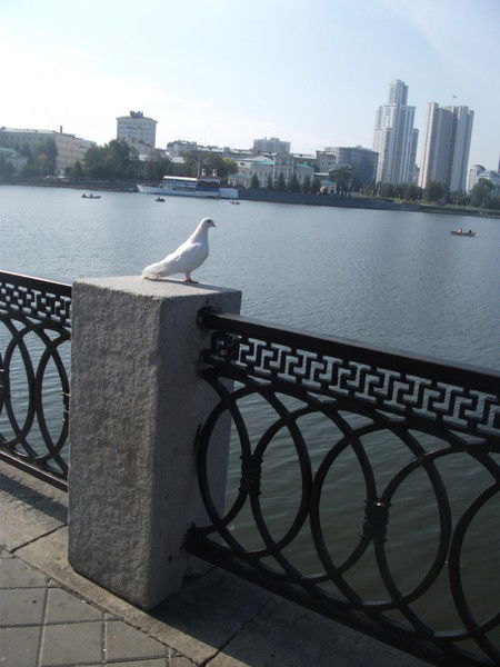 Эдил Сапарали