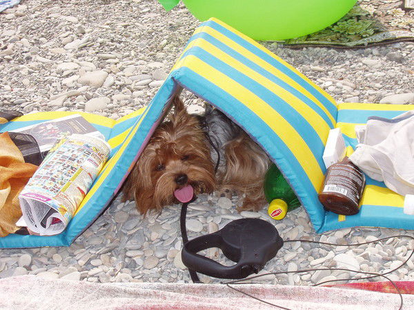 Виктор Капырин