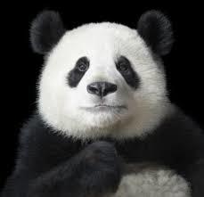 Эмике Эмике