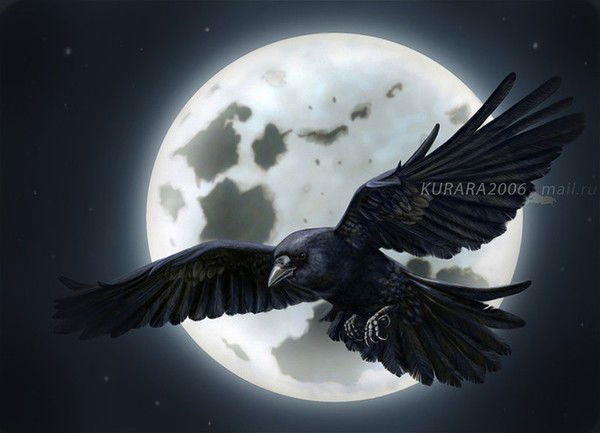 Никита Грязнов