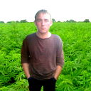 Валерий Шадский
