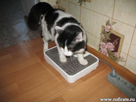 Любовь Кравцова