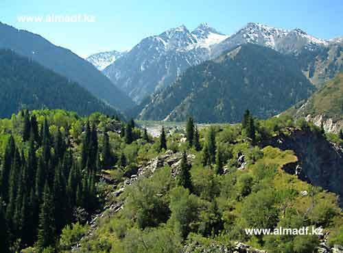 Есен Кульпеисов
