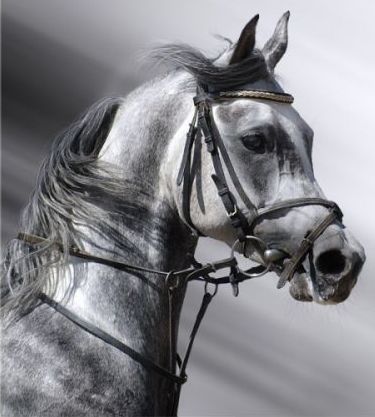 Иван Бобков