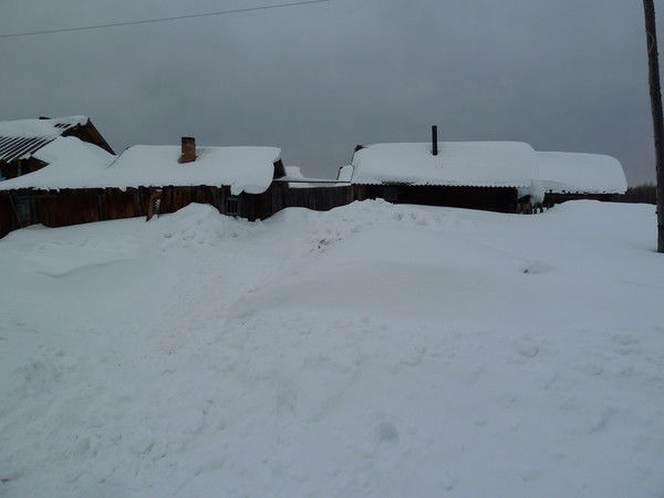 Сергей Вайшля