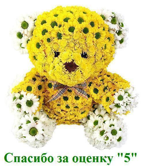 Наталья Платонова