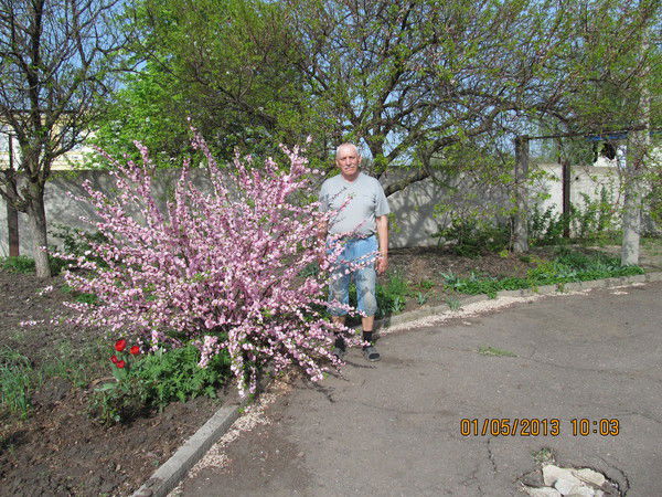 Иван Самсонов