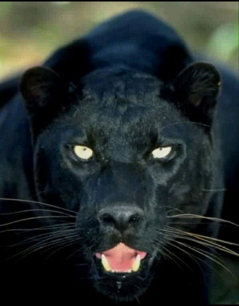 Виталий Иванов