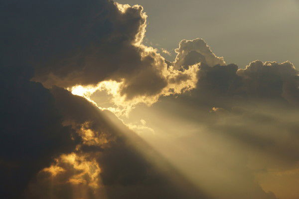 Ольга Ракита