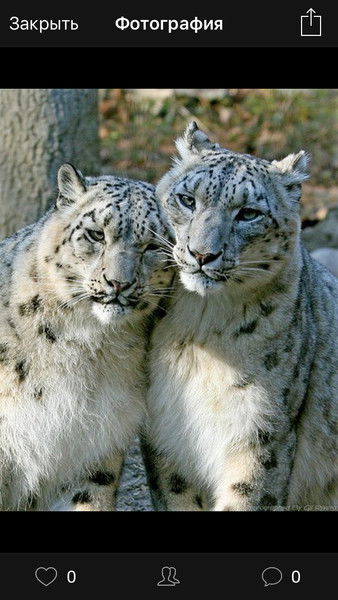 Олеся Джасузакова