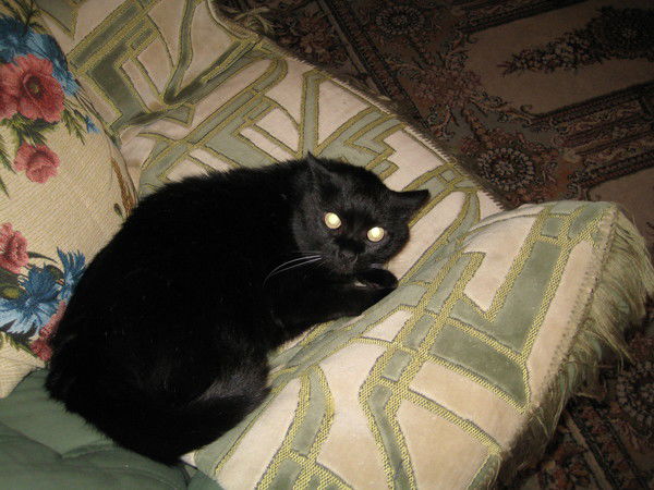 Валентин Торсионов