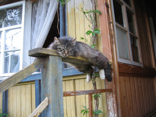 Павел Марченко