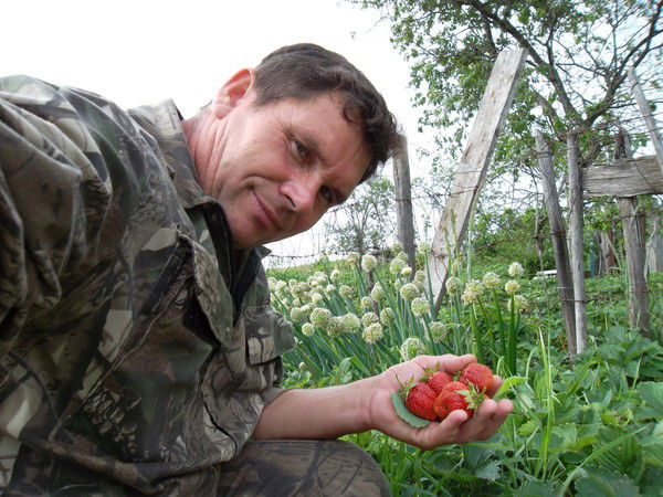 Николай Чириков