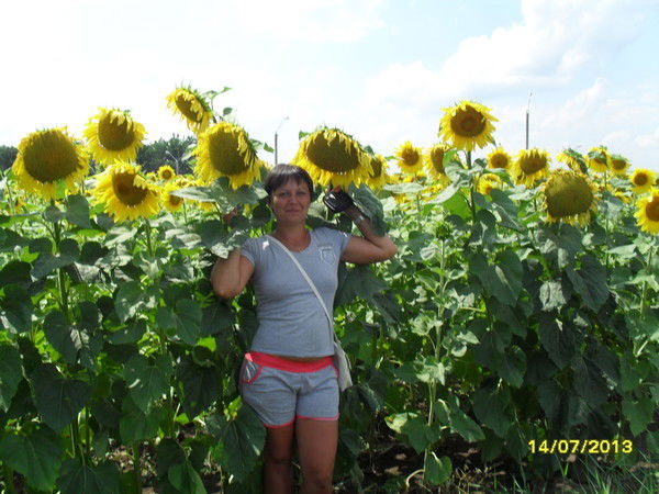 Анна Володько