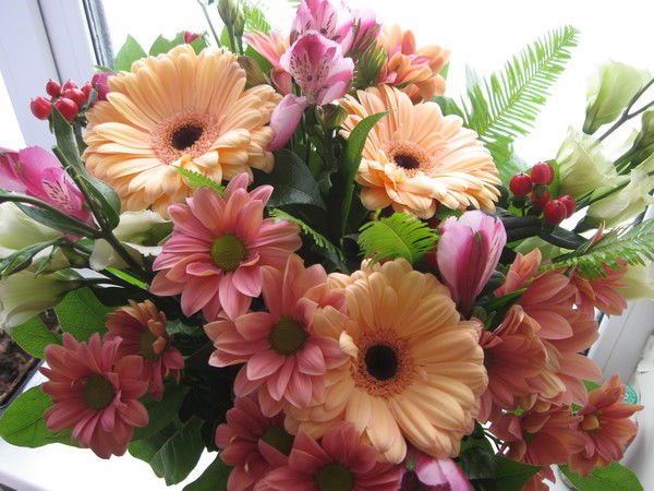 Ирина Рогожина