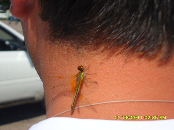 Александр Гымнинов