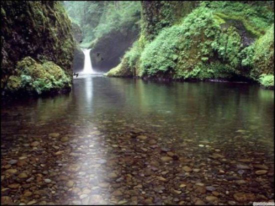 Юрий Тимашов