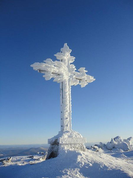 Игорь Алехин