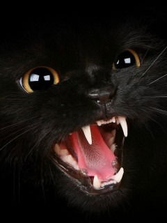 Анатолий Буров